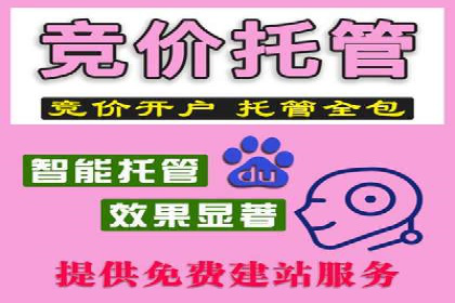 SEM优化策略：打造高效广告投放案例